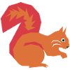 Squirrel Graphic / Design / Illustration