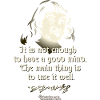Descartes Good Mind