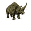 Drawing of an Elasmotherium