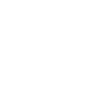 Papitän