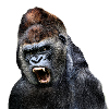 gorilla 2