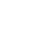 Papitän