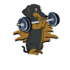 Dachshund Dog Weightlifting - pet dog