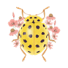 Yellow ladybug with flowers