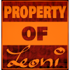 Owned by Leoni
