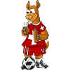 Schweizer Lama