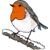 Robin on branch