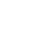 Hibiscus blanc