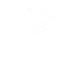 Skater Heartbeat