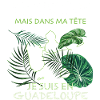 Guadeloupe Thérapie Humour