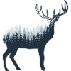 Résumé du cerf -