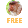Prix juste gratuit | Texte blanc