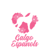 Galgo Espanol Mädchen Spanischer Windhund