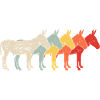 Mule d’âne