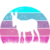 Mule d’âne
