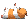 Go Away Meerschweinchen