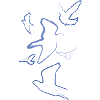 pigeons,birds,drawing,charcoal drawing,blue,deaf