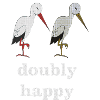 stork doubly happy