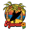 Surfing Surf Surfer Hawaii