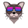 Bisexual Burma Cat Gift