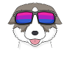 Bisexual Thai Bangkaew Dog Gift