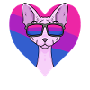 Cadeau bisexuel Sphynx Cat