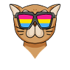 Cat RainbowwPansexual Persian Cat