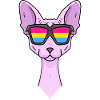 Pansexual Sphynx - Chat avec lunettes