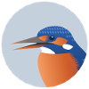 Kingfisher Bird Portrait Print/Illustration