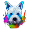 West Highland White Terrier Design - farverig