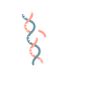 CRISPR Cas9