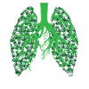 Cannabis Lungs