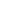 I believe i spider
