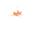 Corgi