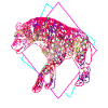 Hyène
