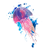 Jellyfish