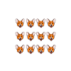 Corgi
