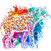 Bunte Hyäne