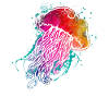 Bunte Qualle