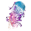 Bunte Qualle