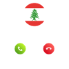 Lebanon calls lusiger flags
