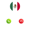 Mexico calls lusiger flags saying