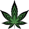 Canabis Blatt