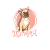 Frenchie Momma - frenchies