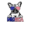 Merica - dog lover