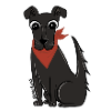 Negro Matapaco