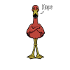 Flamingo Naysayer - Nope