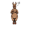 Lama Neinsager