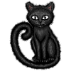 Black cat 🐈 ⬛️