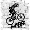 Vélo VTT